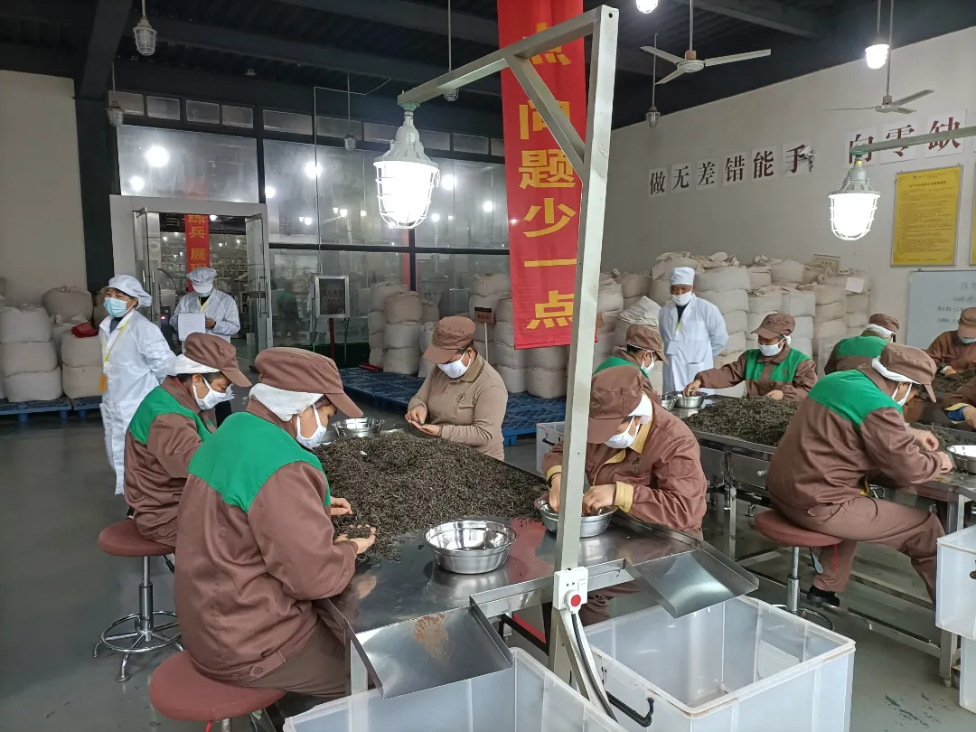 精益求精&middot;鑄造品質(zhì)｜六大茶山第十四屆技術(shù)大比武圓滿完成