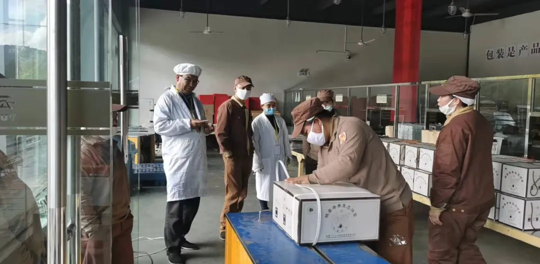 精益求精&middot;鑄造品質(zhì)｜六大茶山第十四屆技術(shù)大比武圓滿完成